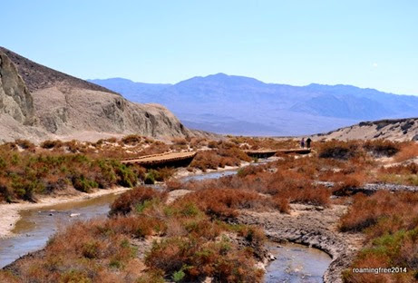 Salt Creek - hardly looks like Death Valley