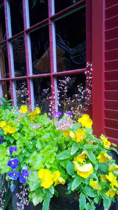 Summer Windowbox | Ideas in Bloom