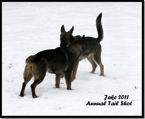 Jake 2011 Annual Tail Shot