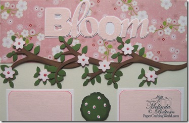 cricut bloom title close up