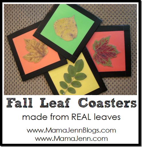 Fall Leaf Coasters