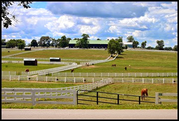 06d - around the grounds - beautiful pastures