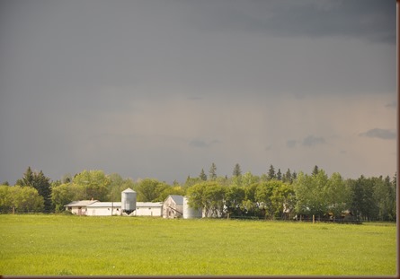 Engler Farm Freedom Alberta-Barns 6