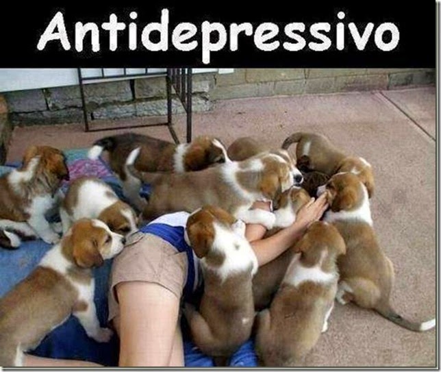 antidepressivo_thumb[1]