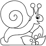 caracol-01.jpg