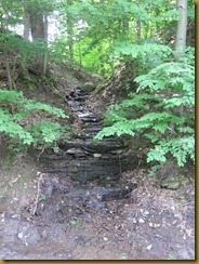 2011-6-10 geocache NY small falls (7)