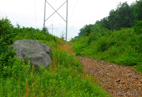 2. powerlines-kab