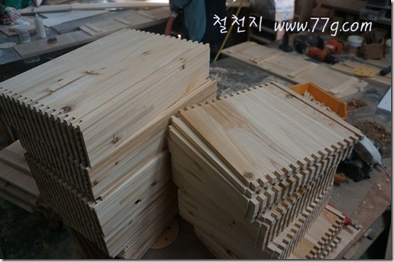 77gDSC06021-20130111-141823
