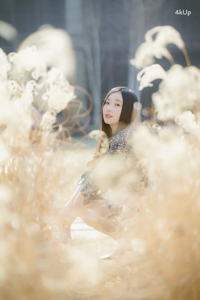 Bambi (밤비) Lacerta Photography