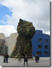 IMG_6596 IMG_6596