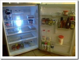 fridge 001