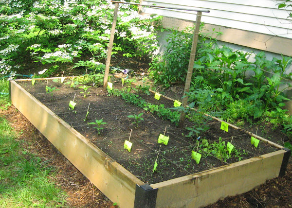Vegetable Garden Raised Vegetable Garden