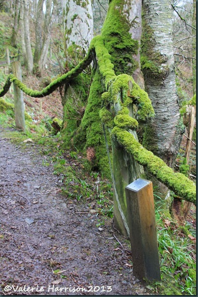 3-moss-and-post