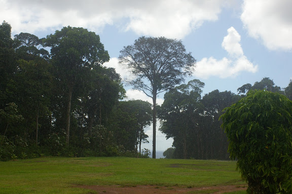 Camp Caïman, Montagne de Kaw (Guyane), 13 novembre 2011. Photo : J.-M. Gayman