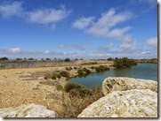 IMG_1206 IMG_1206