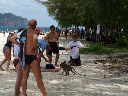 4 Islands Tour: maimuta pozata de turisti