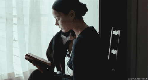 tumblr_lvo7p6Vc6T1r0w8opo1_500.gif