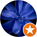 Image Google de Tricote