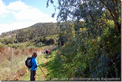 5436 La Laguna-Vueltas Acero-Firgas 5436 La Laguna-Vueltas Acero-Firgas