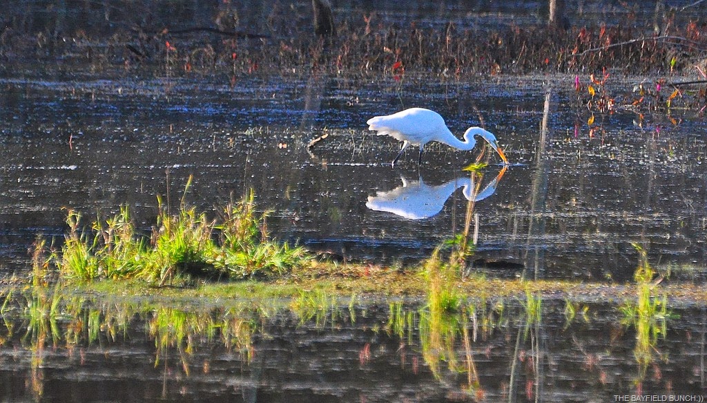 [DSC_0022%255B7%255D.jpg]