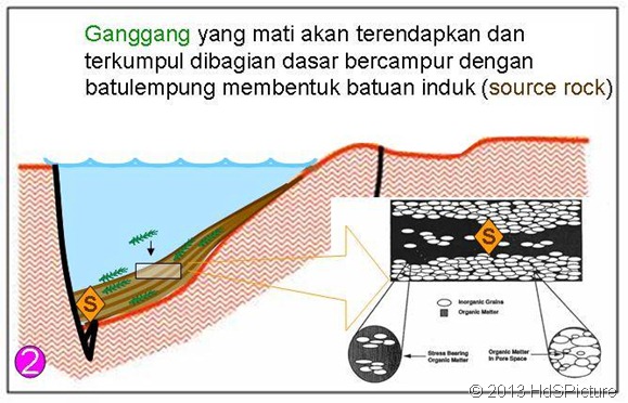 proses pembentukan minyak bumi 2