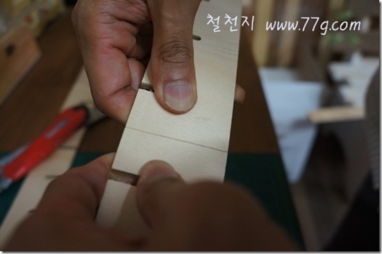 철천지DSC03614-20120619-164628
