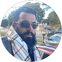 Ali Salehis profile picture