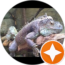 Image Google de Pascal Guignot