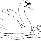 coloriage_cygne_3.JPG.jpg