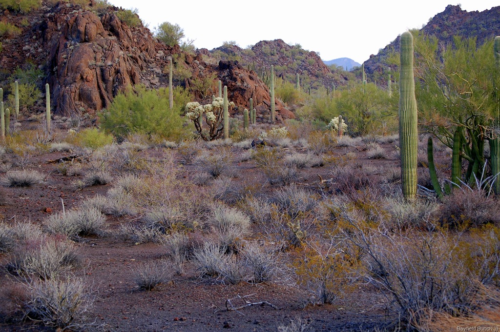 [DSC_0002%255B4%255D.jpg]