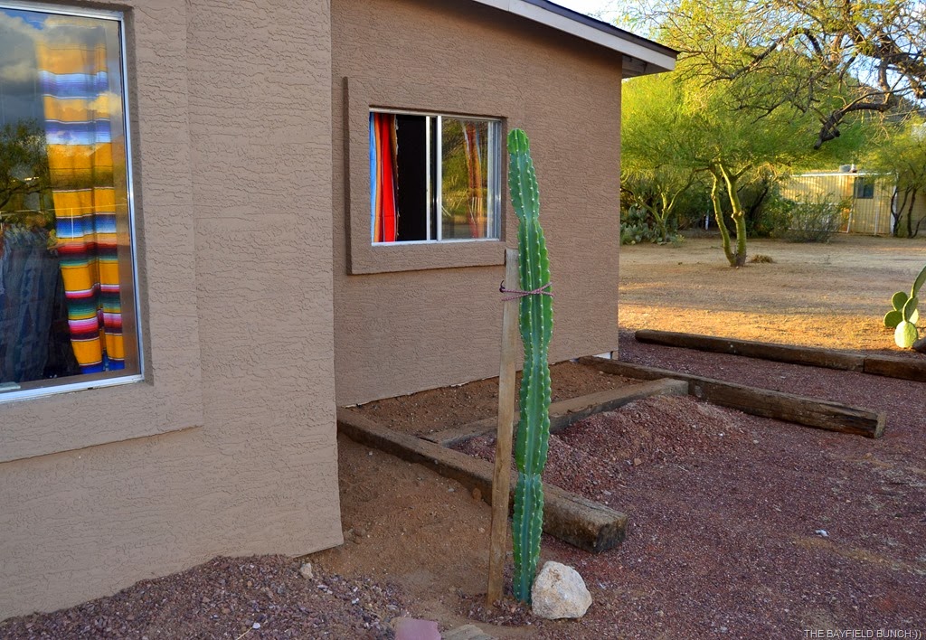 [DSC_0023%255B3%255D.jpg]