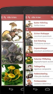 Pilze sammeln & bestimmen PRO Screenshots 3
