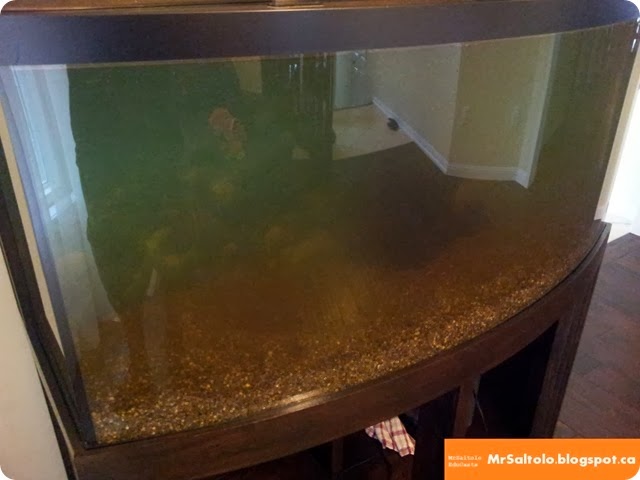 Fish tank in house