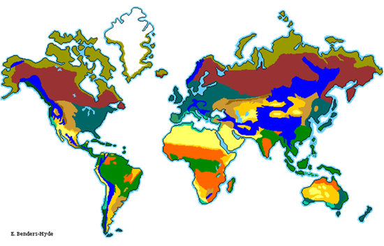 Biomes of The World
