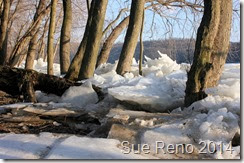 Susquehann River ice jam, by Sue Reno, Image 10