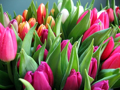 Spring Wedding flowers - tulips