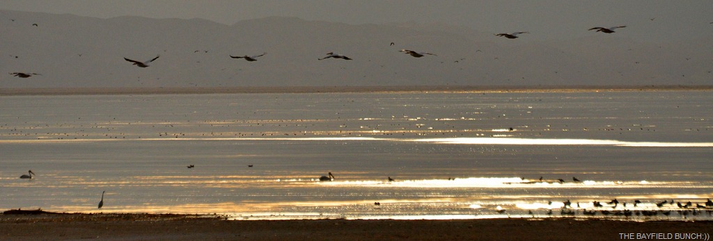 [DSC_0010%255B4%255D.jpg]