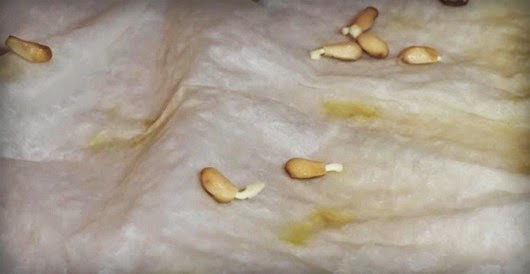 [clip_image005%255B4%255D.jpg]