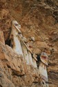 IMG_4809 IMG_4809