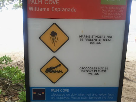 Imagini Cairns: Meduze, crocodili si Rechini ...toate pe acceeasi plaja