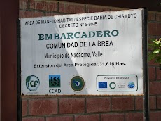 DSCN8582.JPG