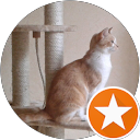 Image Google de Esther Rumeau
