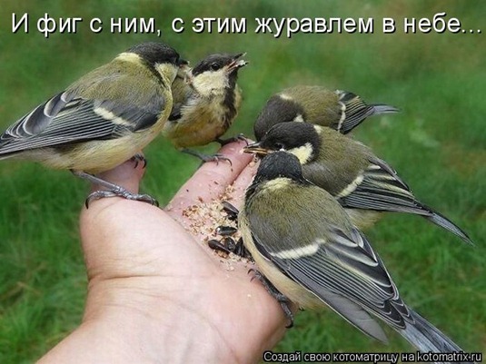 [clip_image019%255B3%255D.jpg]