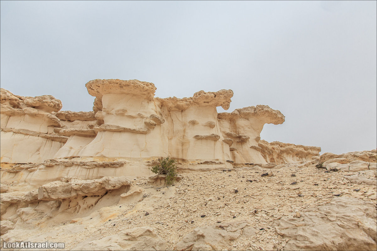 Лунные пейзажи пустыни Негев | Lunar landscapes of the Negev | LookAtIsrael.com - Фото путешествия по Израилю