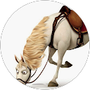 Nikita Eryshev profile picture