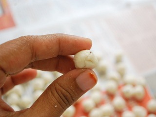 [DSC_4964%255B3%255D.jpg]