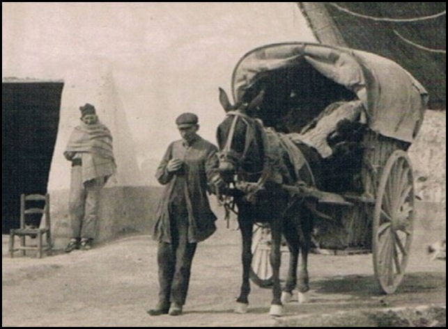 Barraca en la huerta. 1922