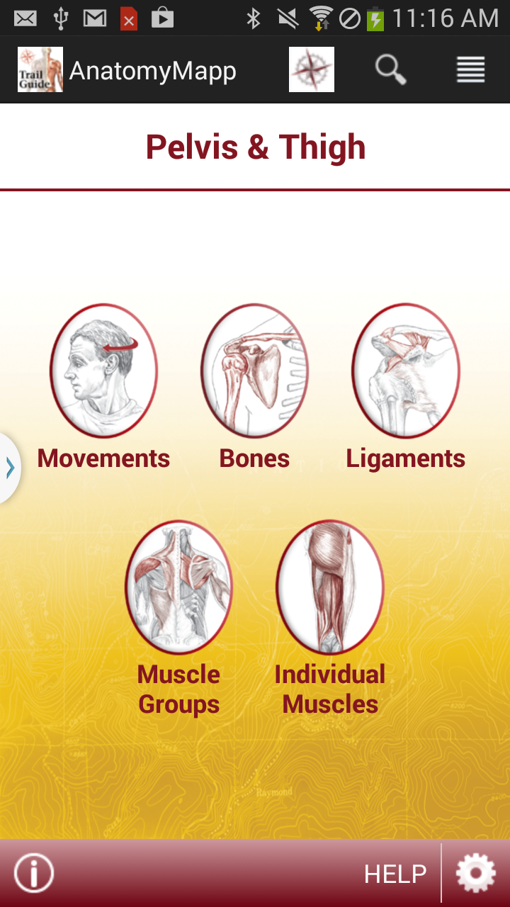 AnatomyMapp Screen 2