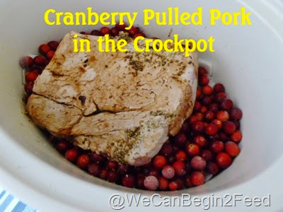 Cranberry Pulled Pork in the Crockpot4