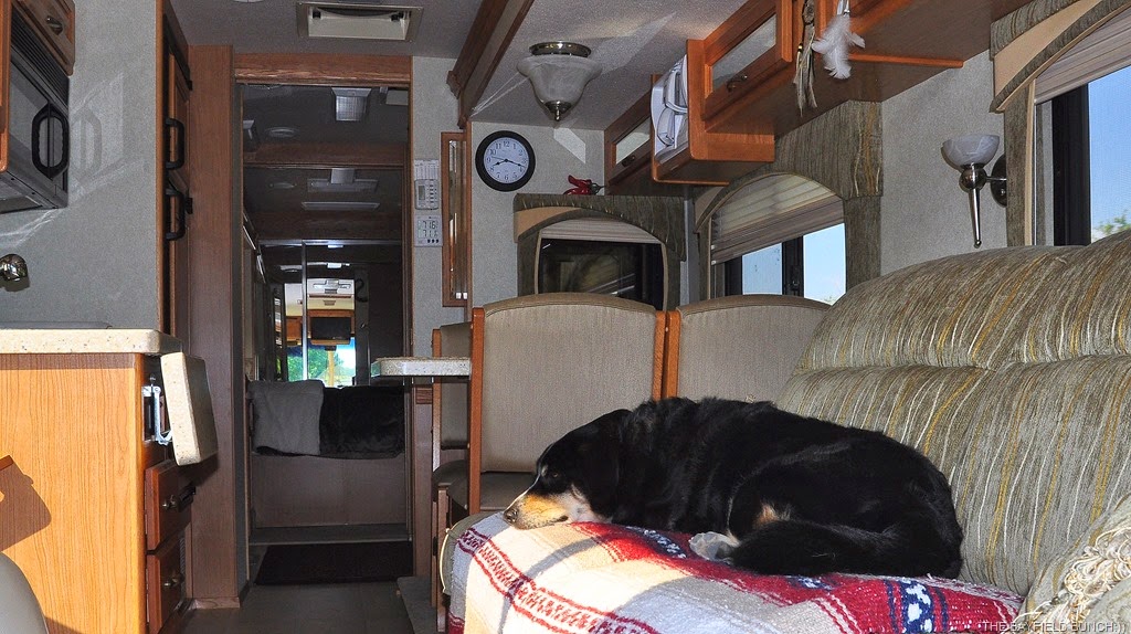 [DSC_0006%255B12%255D.jpg]